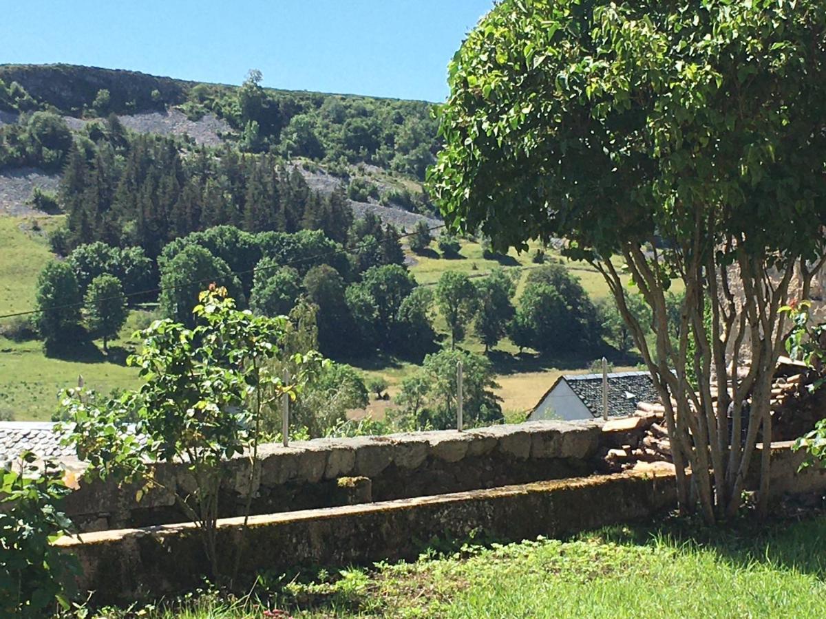 LA CURE grande maison de charme de 2 a 14 personnes Saint-Urcize Extérieur photo