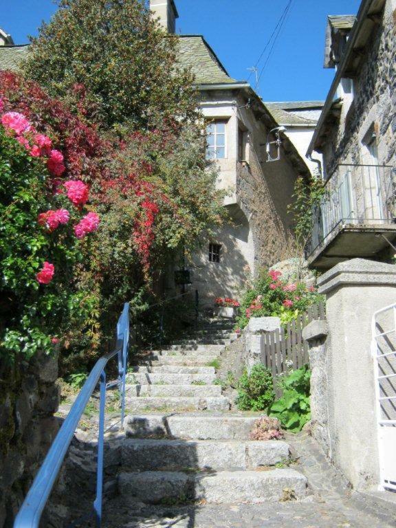LA CURE grande maison de charme de 2 a 14 personnes Saint-Urcize Extérieur photo