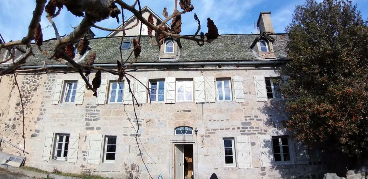 LA CURE grande maison de charme de 2 a 14 personnes Saint-Urcize Extérieur photo