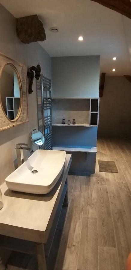 LA CURE grande maison de charme de 2 a 14 personnes Saint-Urcize Extérieur photo